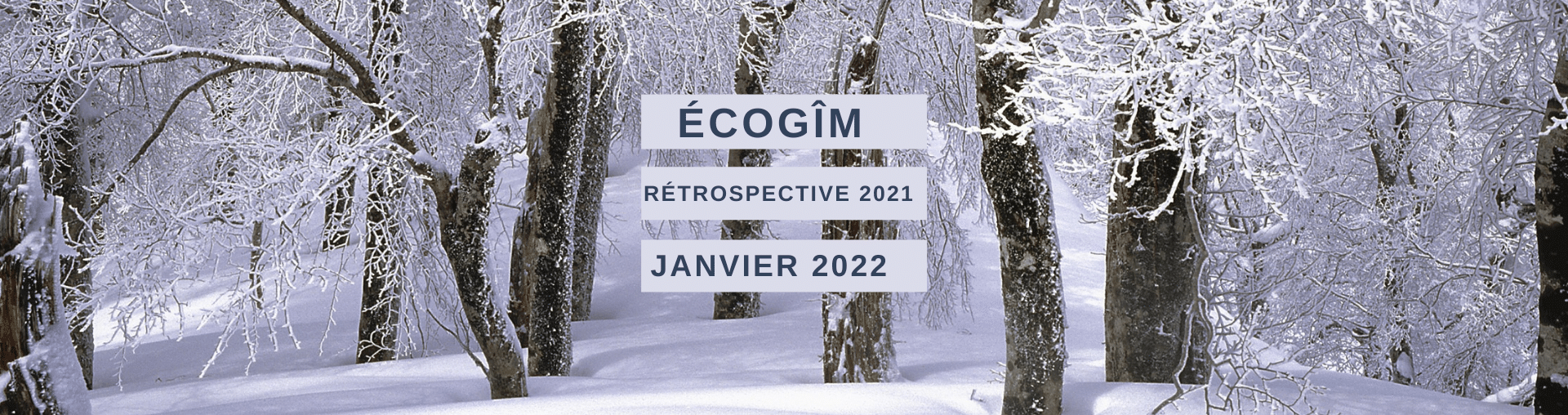 ÉCOGÎM – RÉTROSPECTIVE 2021 – HIVER 2022