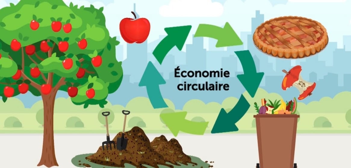 Synergie Gaspésie : entrevue avec Chloé Leduc