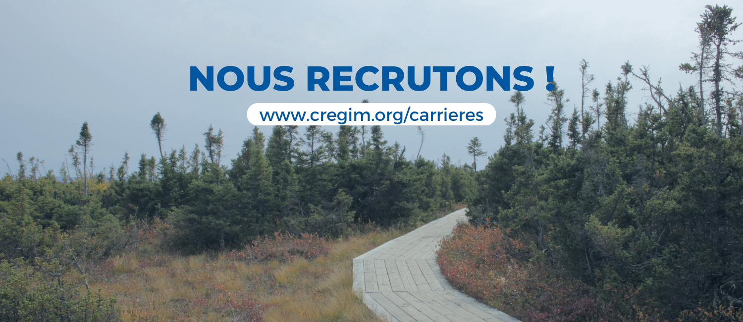 Nous recrutons !