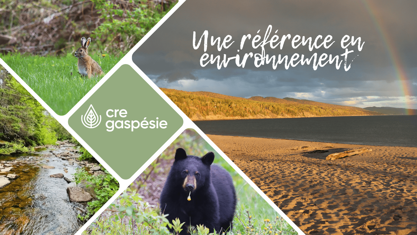 Le Conseil d’administration du CRE de la Gaspésie (CREG) annonce un changement à sa direction générale