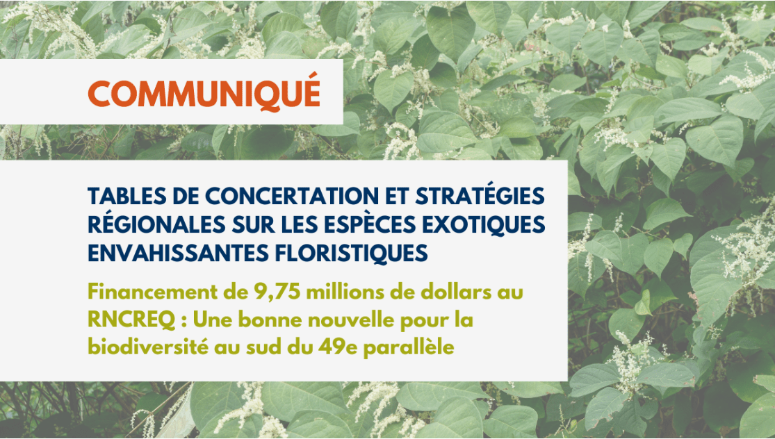 Tables de concertation et stratégies régionales  sur les espèces exotiques envahissantes floristiques – Une bonne nouvelle pour la biodiversité au sud du 49e parallèle