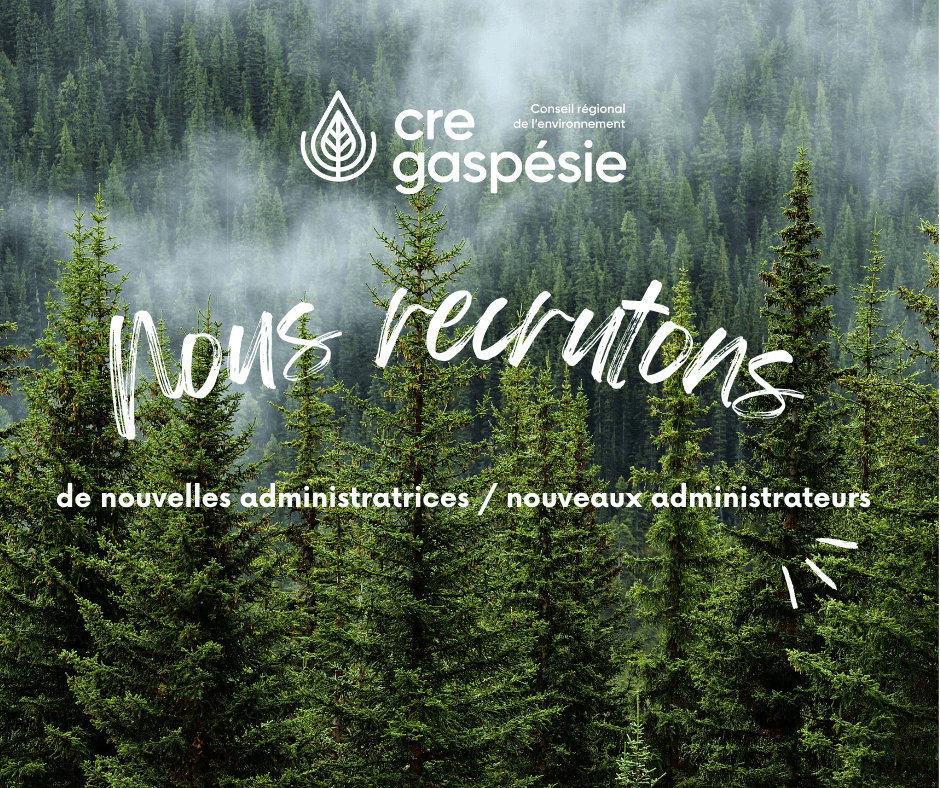 Nous recrutons de nouvelles administratrices / nouveaux administrateurs
