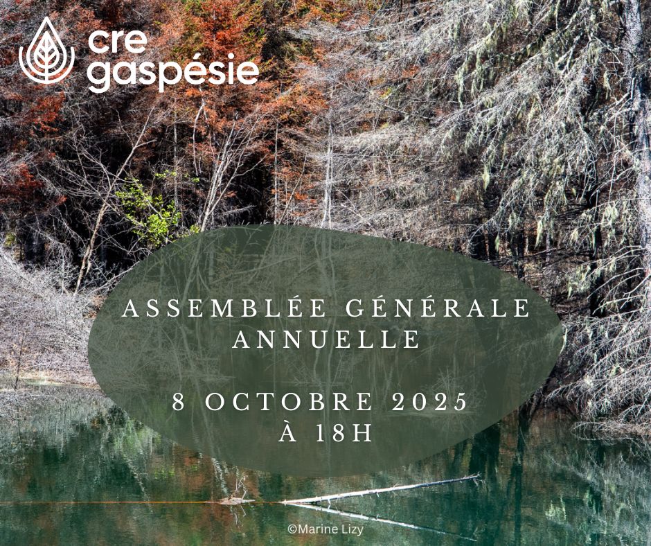 Avis de convocation – Assemblée générale annuelle 2025