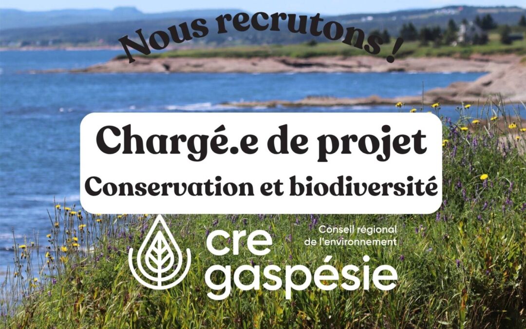 Nous recrutons un(e) Chargé(e) de projet – Conservation et biodiversité
