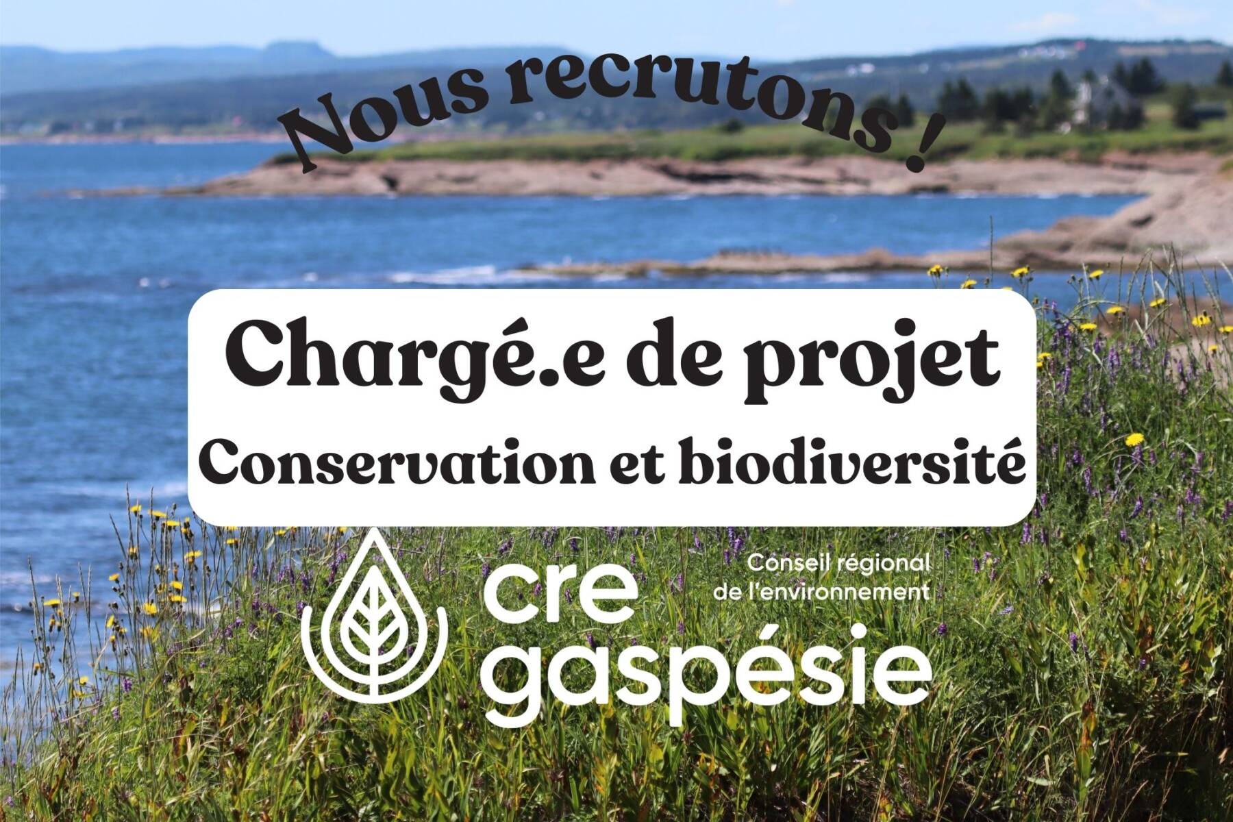 Nous recrutons un(e) Chargé(e) de projet – Conservation et biodiversité
