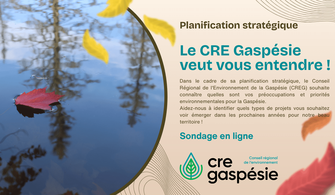 Le CRE Gaspésie veut vous entendre !
