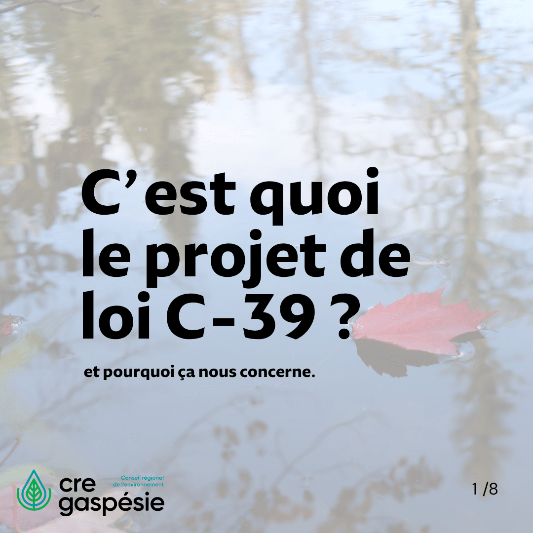 C&rsquo;est quoi le projet de loi C-39 ?