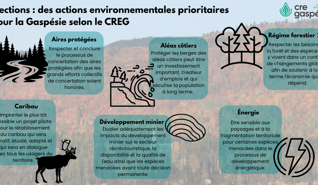 Élections : des actions environnementales prioritaires pour la Gaspésie