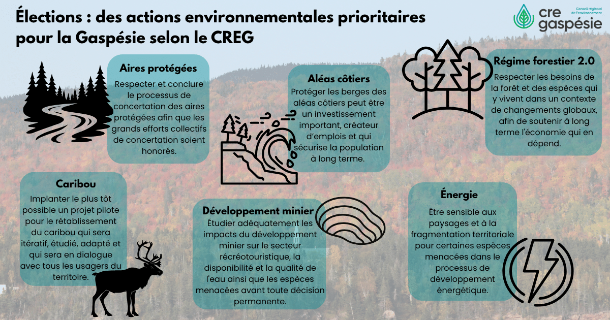 Élections : des actions environnementales prioritaires pour la Gaspésie